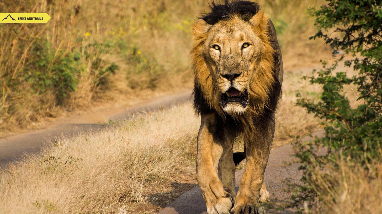 Gir National Park - Tour