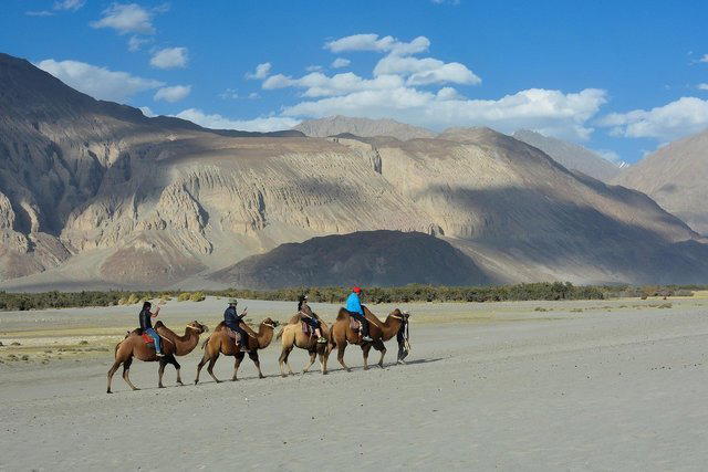 Leh Ladakh Tour Packages - Collection