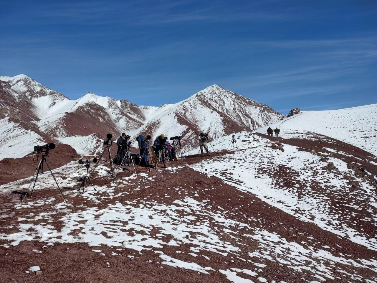 Snow Leopard Expedition Leh Ladakh 2026 - Tour