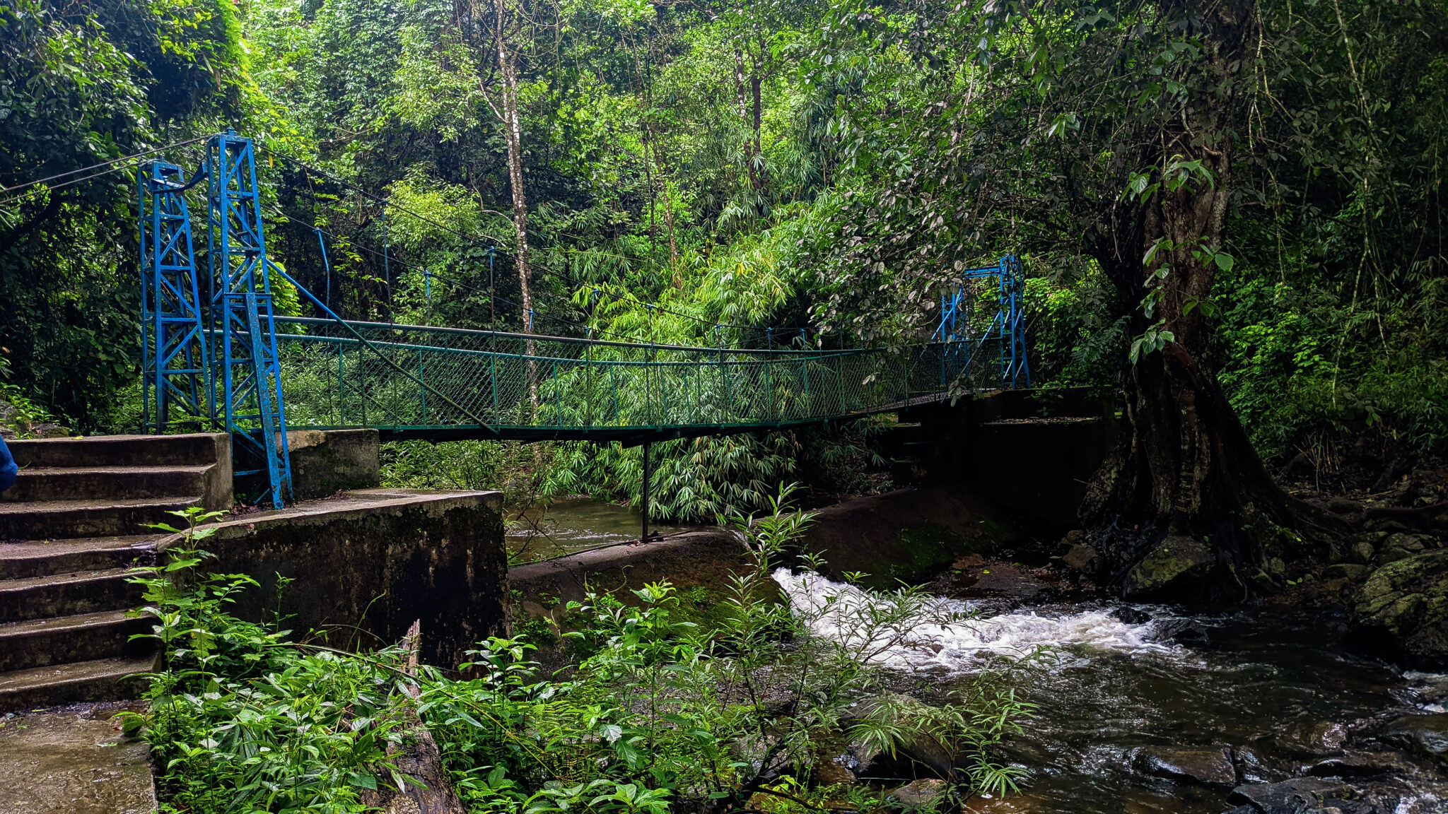 Brahmagiri Trek – The Brahmagiri Peak Trek Stands As A Testament To The ...